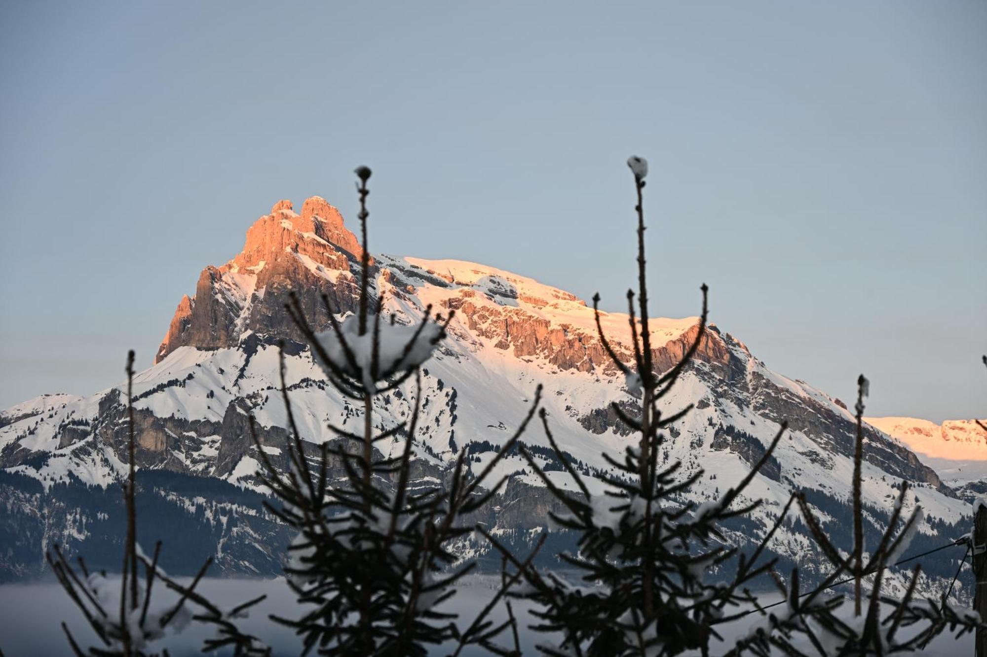Chalet Montana Combloux Eksteriør billede